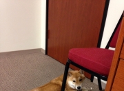 开云下载-当红龙之翼掠过F1赛道，威尔士绝杀之夜与阿拉巴的跨界统治