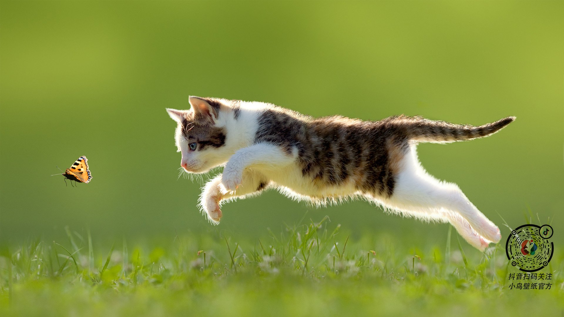 浓眉遮天蔽日，新疆队憾负独行侠，悬念早逝引深思