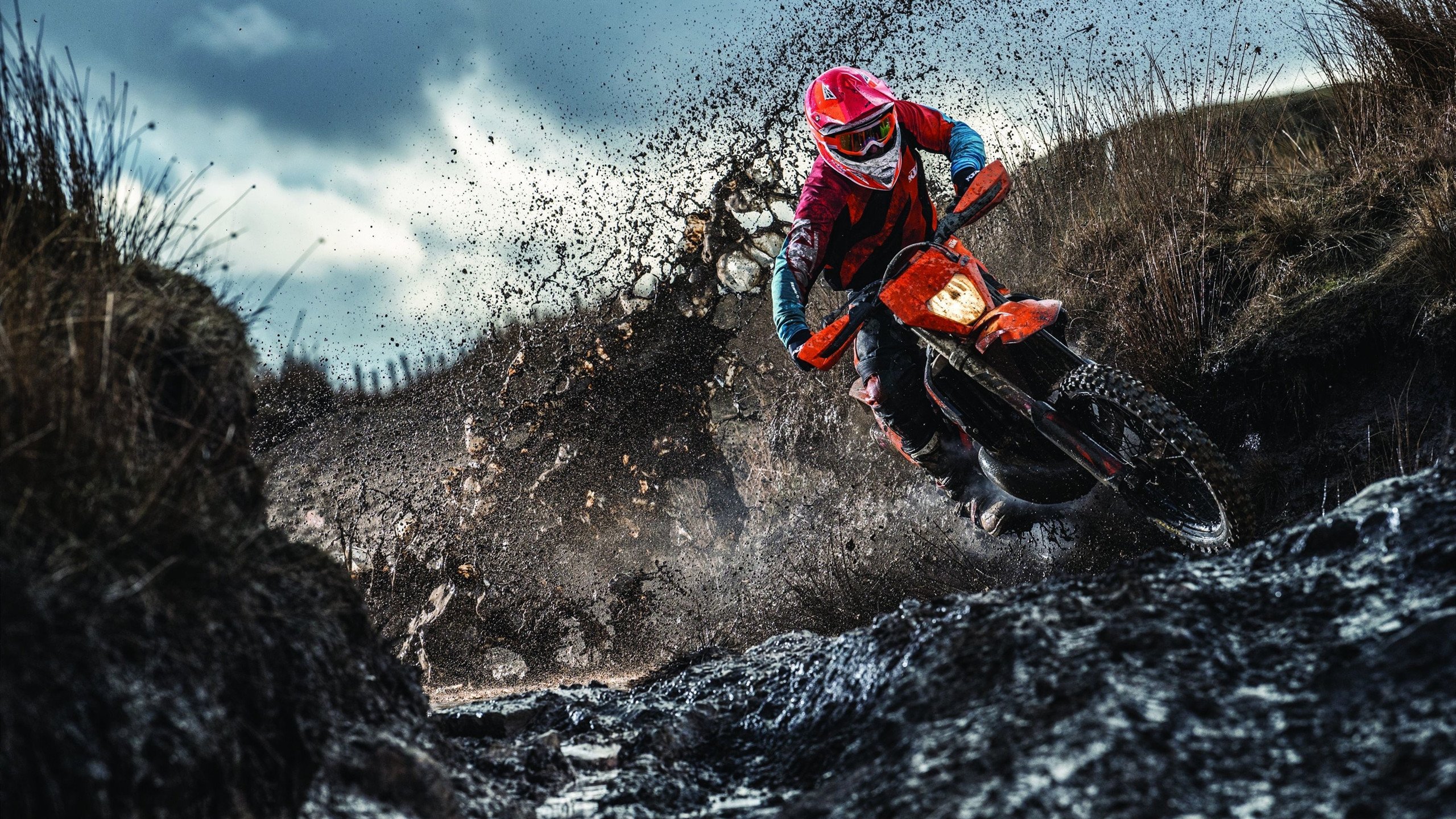 非洲雄鹰与不屈雄狮的对决，当孙兴慜在关键时刻照亮尼日利亚与喀麦隆之战