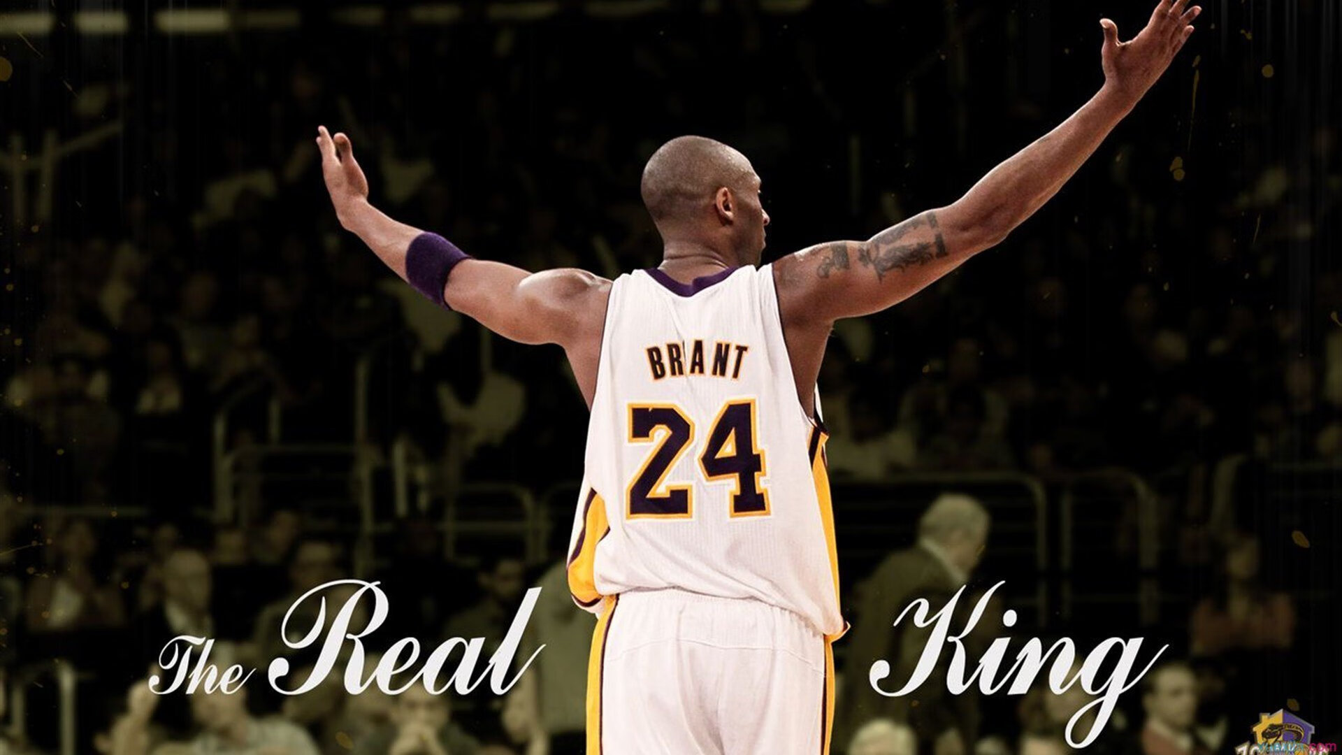 黄蜂筑起叹息之墙，克莱三分雨浇灭猛龙最后希望